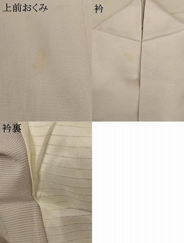 平和屋着物＊夏物 訪問着 絽 刺繍 草花文 銀彩 正絹 逸品 AABD8967jd