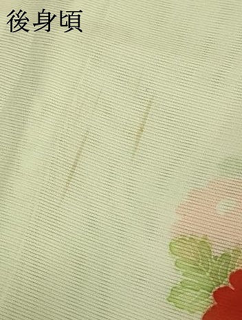 平和屋着物＊夏物　振袖　絽　草花文　洗える着物　AABD8979jd