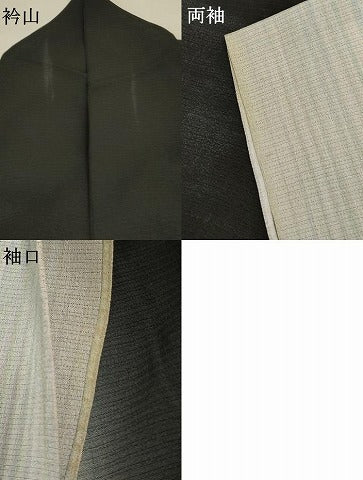平和屋着物＊夏物 訪問着 絽 縞 暈し染め 正絹 逸品 AABD8989jd