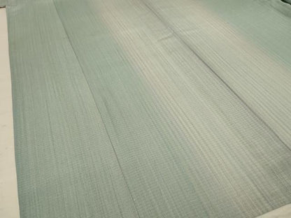 平和屋着物＊夏物　訪問着　絽　縞　暈し染め　正絹　逸品　AABD8990jd