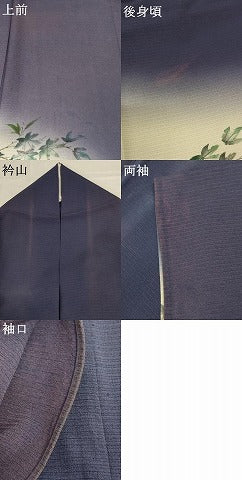 平和屋着物＊夏物　訪問着　絽　手描き　楓文　鮎　暈し染め　ロング丈　正絹　逸品　AABD8994jd