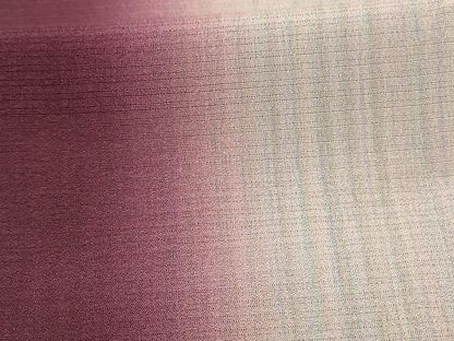 平和屋着物＊夏物　訪問着　絽　縞　暈し染め　正絹　逸品　AABD8996jd