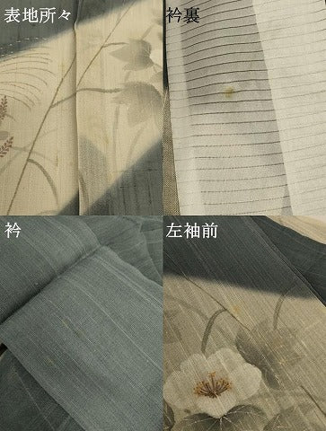 平和屋着物＊夏物 訪問着 紗紬 草花文 正絹 逸品 AABD8997jd