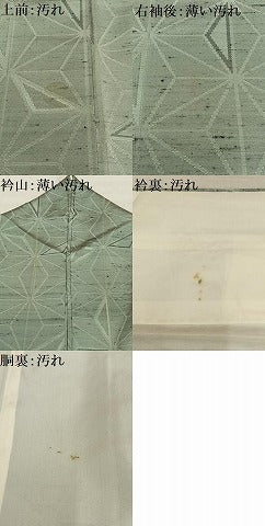 平和屋着物■上質な紬　麻の葉文様　正絹　逸品　AABD9095oa