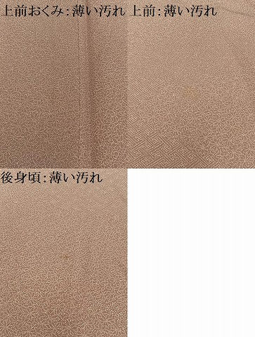 平和屋着物■江戸小紋　寄せ小紋柄　正絹　逸品　AABD9101oa