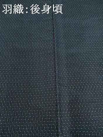 平和屋着物●男性　本場大島紬　アンサンブル　亀甲絣　正絹　逸品　AABD9362ck