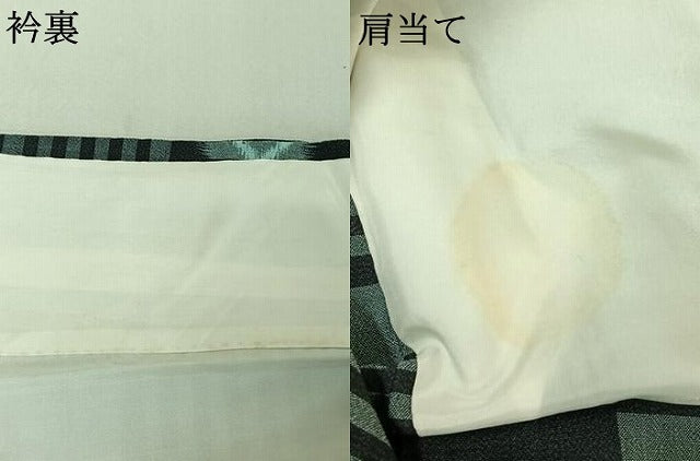 平和屋着物▽小紋 単衣 琉球絣 AABD9479jh