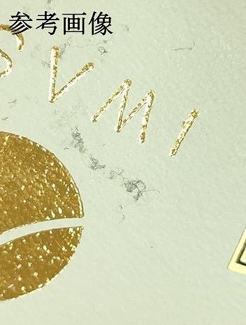 平和屋着物●IWASA　和装小物　和装草履　市松模様　Lサイズ　逸品　未使用　AABD9713ay
