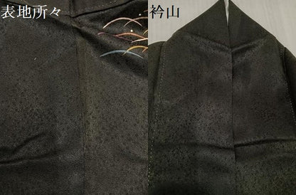 平和屋着物●訪問着　貝桶露芝文　黒地　正絹　逸品　AABD9849ph