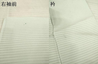 平和屋着物＊夏物 訪問着 絽 手描き 草花文 暈し染め 銀彩 正絹 逸品 AABD9937ck
