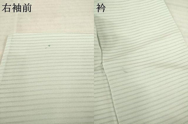 平和屋着物＊夏物 訪問着 絽 手描き 草花文 暈し染め 銀彩 正絹 逸品 AABD9937ck
