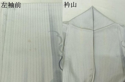 平和屋着物▽訪問着 単衣 作家物 手描き 葡萄 正絹 逸品 AABE0227jh