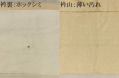 平和屋着物■上質な紬　亀甲文　正絹　逸品　AABE0393oa