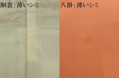 平和屋着物■上質な小紋　風景草花文　正絹　逸品　AABE0411oa