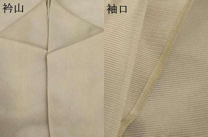 平和屋着物＊夏物 訪問着 絽 草花文 蛍 正絹 逸品 AABE0607jd