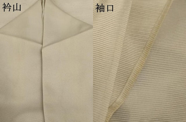 平和屋着物＊夏物 訪問着 絽 草花文 蛍 正絹 逸品 AABE0607jd