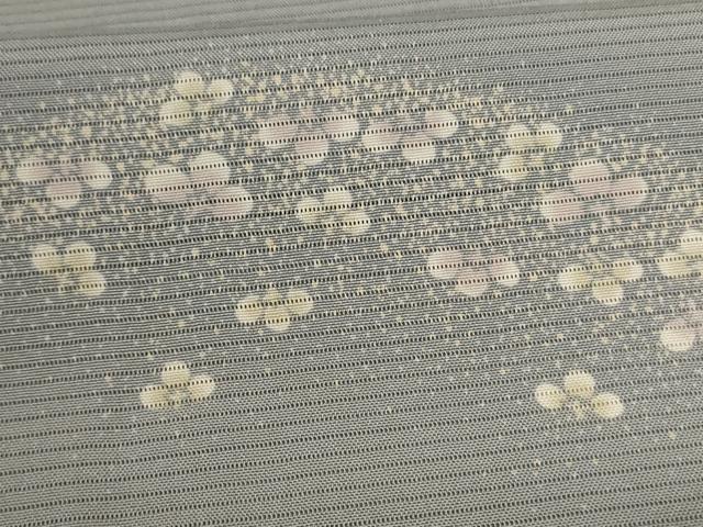 平和屋着物＊夏物 小紋 絽 舞花文 銀彩 正絹 逸品 未使用 AABE0608jd