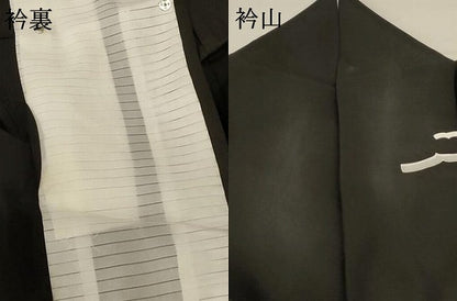 平和屋着物＊夏物 訪問着 絽 横段文 洗える着物 AABE0640jd
