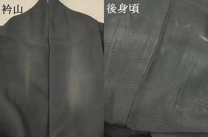 平和屋着物＊夏物 訪問着 絽 螺鈿 雲取り芝文 暈し染め 金彩 正絹 逸品 AABE0645jd