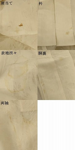平和屋着物＊夏物 長襦袢 枝葉紋紗 蜂蜜色 AABE0664jd