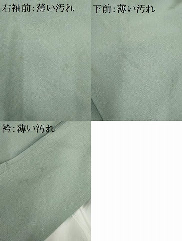 平和屋着物■色留訪問着　流水雪輪花文　鶴　金彩　正絹　逸品　AABE0846gw