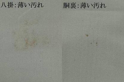 平和屋着物■上質な小紋　草花文　正絹　逸品　AABE0881gw