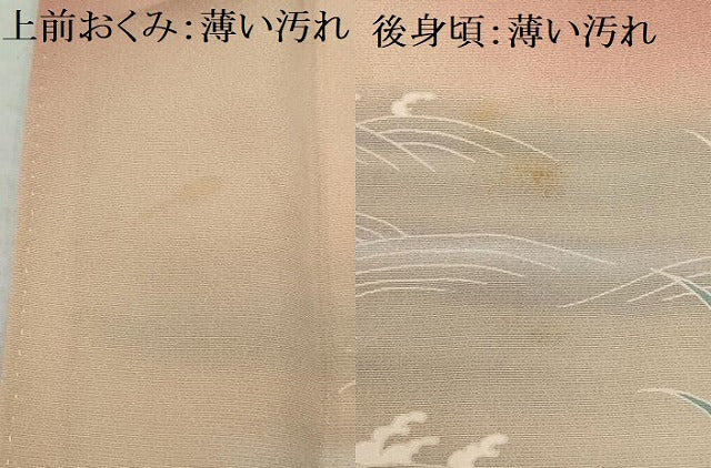 平和屋着物■豪華色留袖 流水飛鶴花文 暈し染め 銀彩 正絹 逸品 AABE0890gw