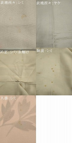 平和屋着物■訪問着 草花文 金彩 正絹 逸品 AABE0996tn