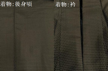 平和屋着物●男性　お召　アンサンブル　亀甲柄　正絹　逸品　AABE1233ph