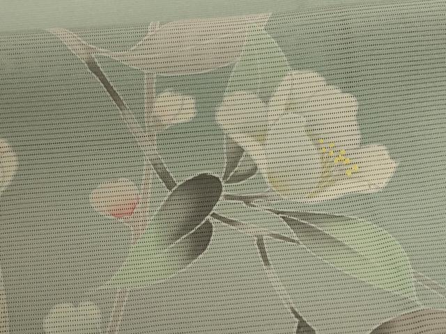 平和屋着物＊夏物 訪問着 絽 友禅 枝花文 暈し染め 正絹 逸品 AABE1287jd