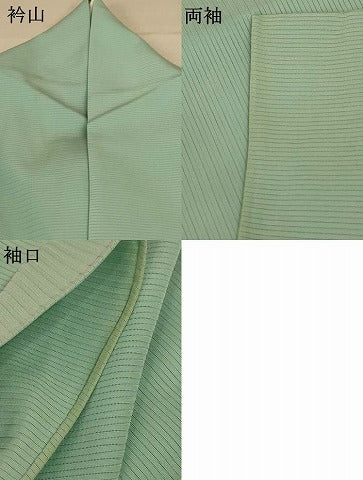 平和屋着物＊夏物 色無地 絽 裏葉柳色 正絹 逸品 AABE1304jd