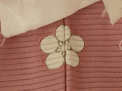 平和屋着物＊夏物 色無地 絽 遠州茶色 正絹 逸品 未使用 AABE1305jd