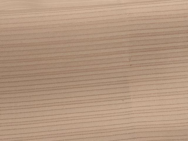 平和屋着物＊夏物 色無地 絽 洗柿色 正絹 逸品 AABE1310jd