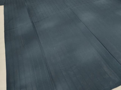 平和屋着物＊夏物 小紋 絽 霞文 正絹 逸品 AABE1326jd