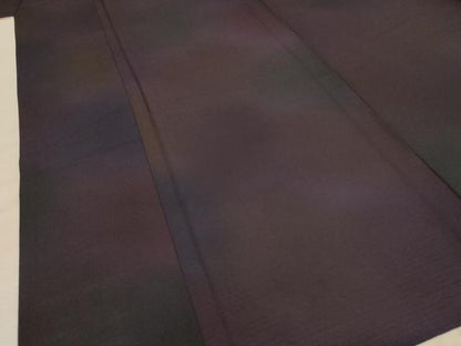 平和屋着物＊前田仁仙 仁仙更紗 夏物 小紋 絽 霞文 ロング丈 正絹 逸品 AABE1365jd