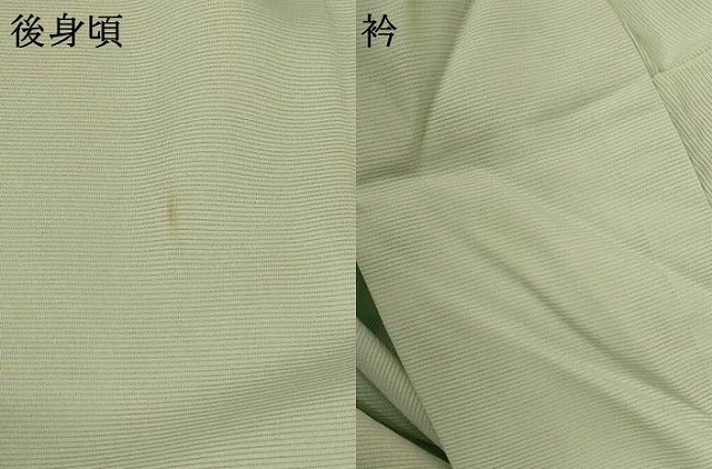 平和屋着物＊夏物 訪問着 絽 草花文 正絹 逸品 AABE1374jd