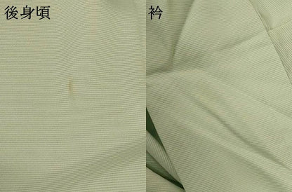 平和屋着物＊夏物 訪問着 絽 草花文 正絹 逸品 AABE1374jd