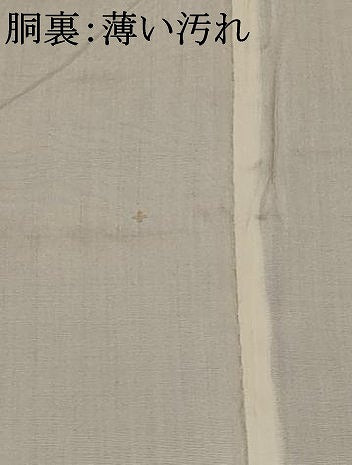 平和屋着物■上質な紬 紗綾形文様 正絹 逸品 未使用 AABE1413st