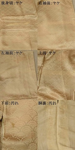 平和屋着物■色留訪問着　駒刺繍　杜若　暈し染め　金糸　正絹　逸品　AABE1458st