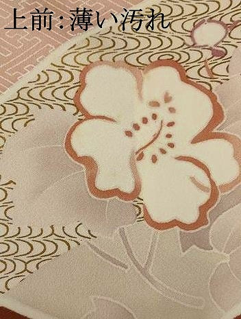 平和屋着物■訪問着　地紙花文　金彩　正絹　逸品　AABE1509st