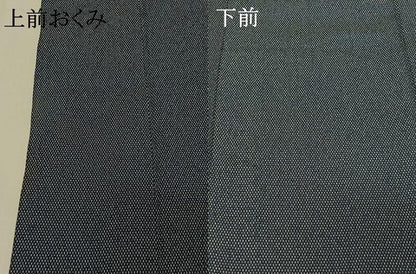 平和屋着物▽本塩沢 単衣 蚊絣 正絹 逸品 AABE1578jh