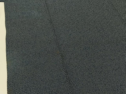 平和屋着物▽本塩沢 単衣 蚊絣 正絹 逸品 AABE1578jh