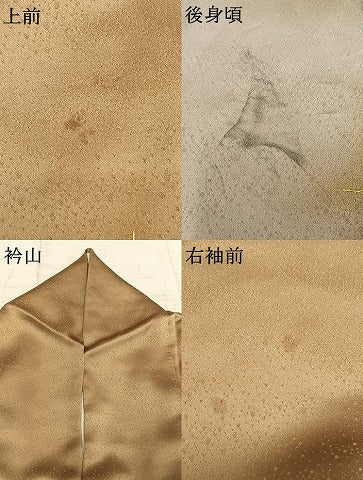 平和屋着物●訪問着　草葉文　暈し染め　金彩　正絹　逸品　AABE1661fy