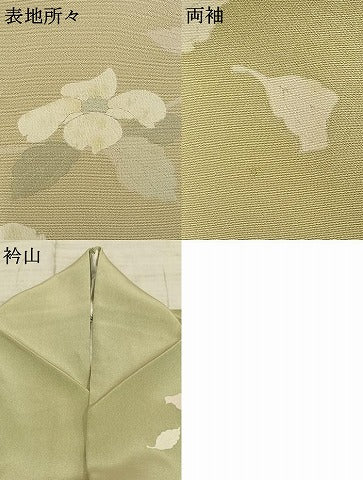 平和屋着物●訪問着　枝花文　暈し染め　正絹　逸品　AABE1783fy