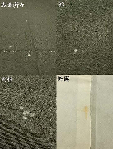 平和屋着物●川野栖山　訪問着　西芳寺　暈し染め　正絹　逸品　AABE1818fy