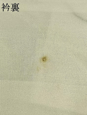 平和屋着物●上質な紬　草葉文　正絹　逸品　未使用　AABE1840fy 平和屋着物○上質な紬 草葉文 正絹 逸品 未使用 AABE1840fy