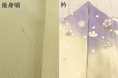 平和屋着物●小振袖　二尺袖　草花文　暈し染め　金彩　洗える着物　AABE1843fy