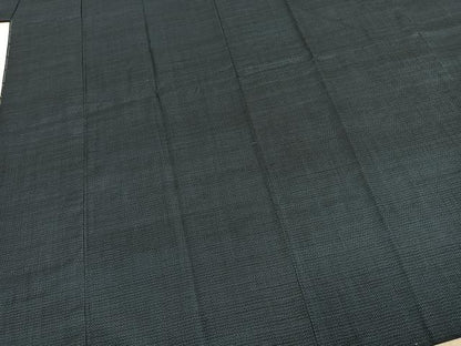 平和屋着物●男性　本場大島紬　アンサンブル　100亀甲　総詰め　正絹　逸品　AABE1854fy