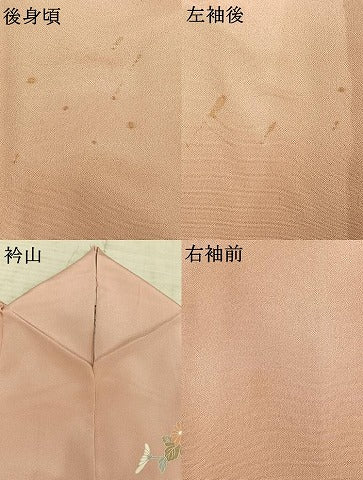 平和屋着物●訪問着　友禅　草花文　正絹　逸品　AABE1963fy