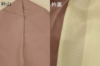 平和屋着物＊夏物 色無地 絽 胡桃染色 正絹 逸品 AABE2616jd